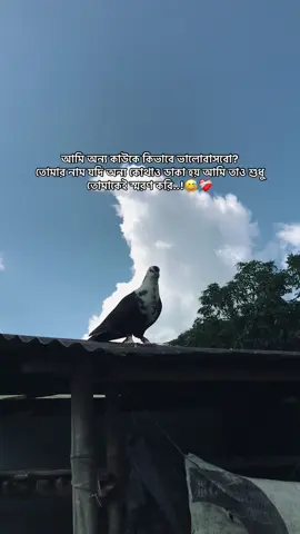 আমি অন্য কাউকে কিভাবে ভালোবাসবো? তোমার নাম যদি অন্য কোথাও ডাকা হয় আমি তাও শুধু তোমাকেই স্মরণ করি..!😅❤️‍🩹 #foryou  #the_spydoo 