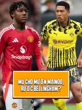MU tính 1 thương vụ đổi chác thông minh #dailyvsthethao #bongda #manchesterunited #bellingham #mainoo 