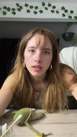 Videollamada 