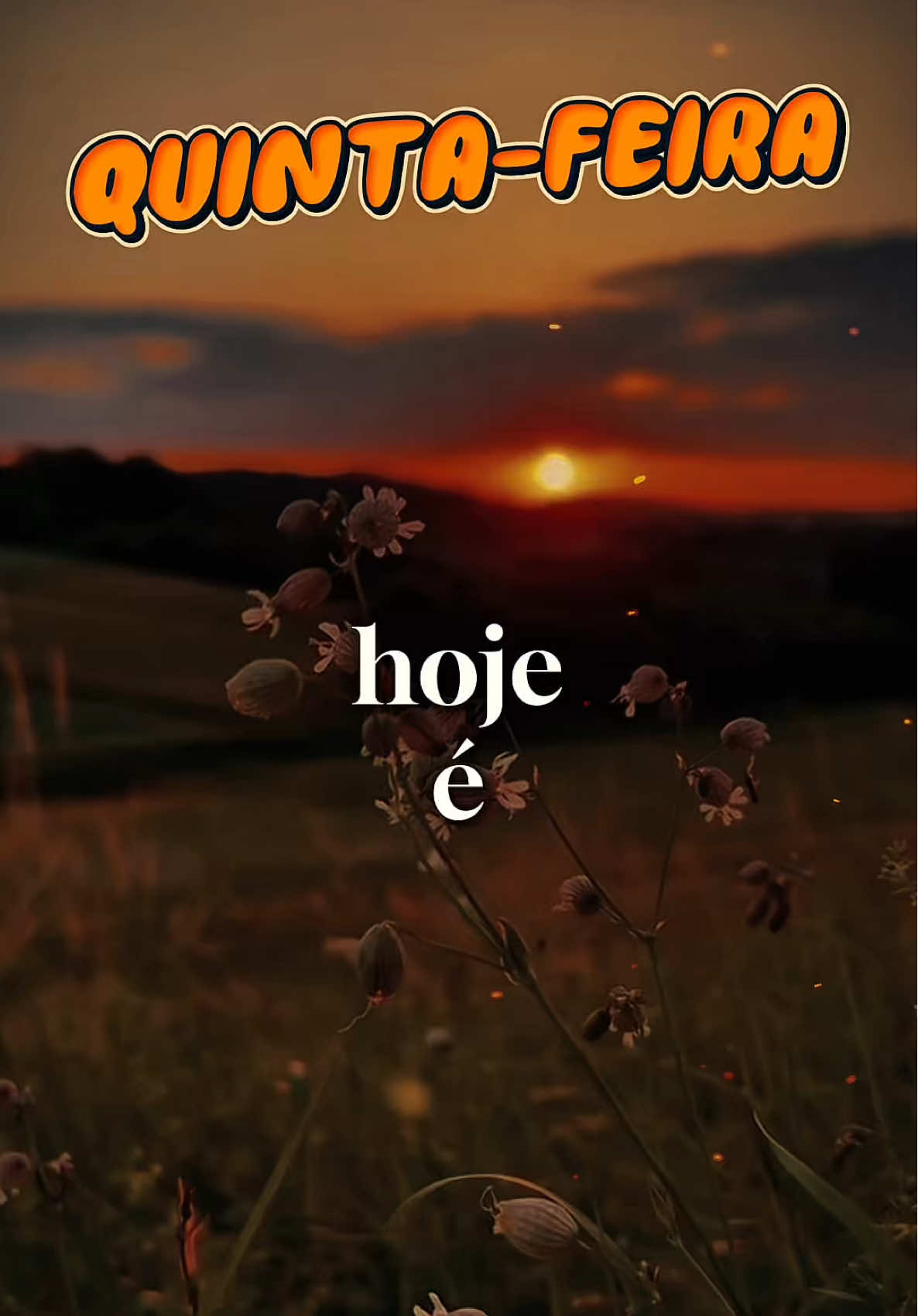 Bem-vinda, Quinta-feira ❤️🙏 #quintafeira #bomdia #sextafeira #benção #status 