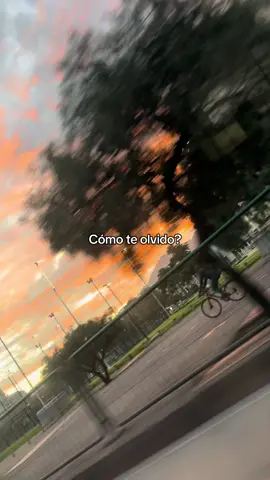 ¿?:(#paratii #fyp #viral #foryou #zxycba 