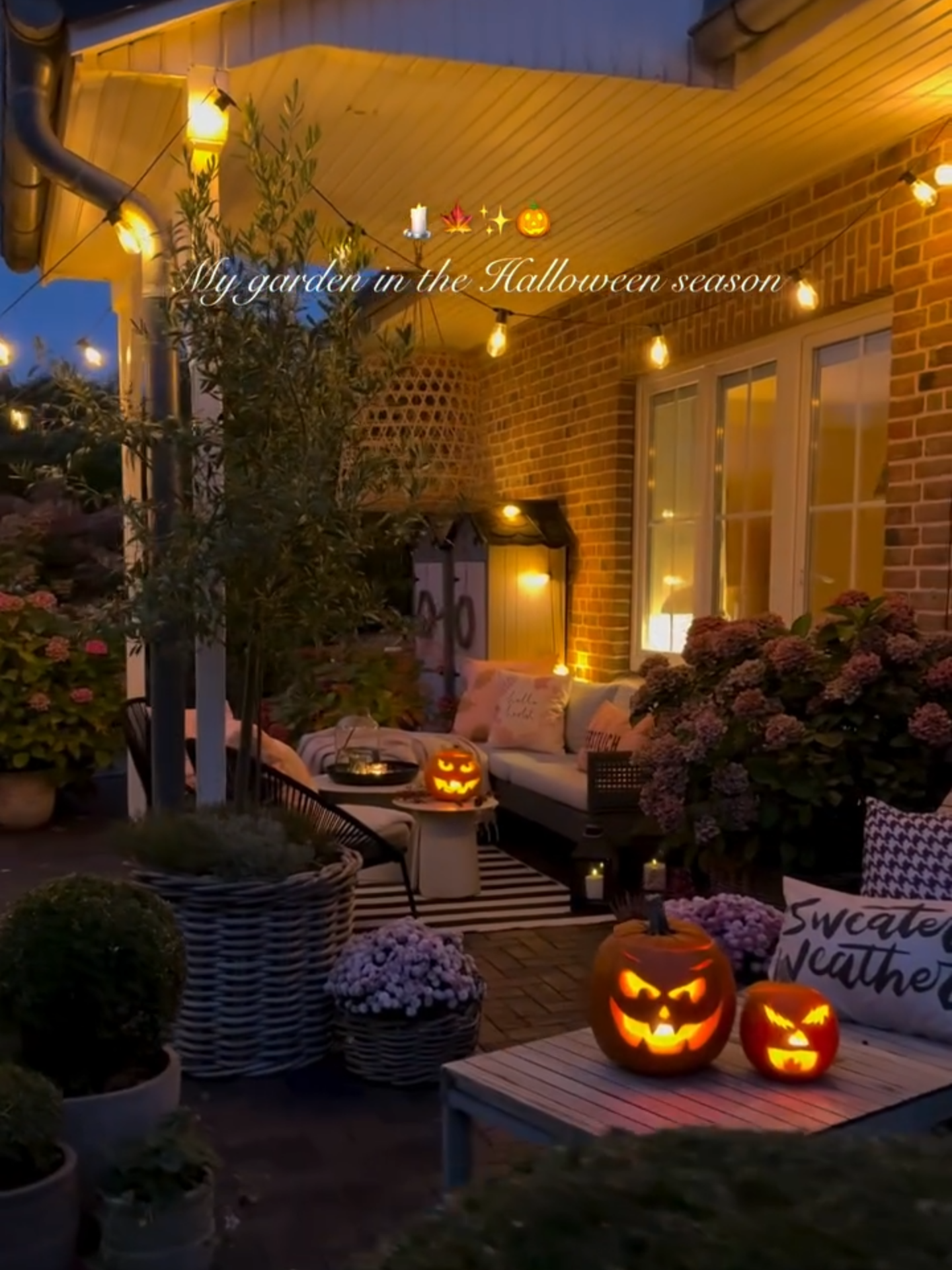 Good night, my dears ✨ I just have to take you on a quick little stroll through the garden, because it looks so incredibly beautiful right now. Time flies so fast, so I just wanted to capture this moment. And now I’m collapsing straight onto the sofa 🍂🕯️🎃. #garden #autumn #fallgarden #gardening #homeandgarden #pumpkin #halloweendiy #halloween #GardenDecor #autumndecor #fallvibe #gardenlights #gardeninspiration #gardendesign #backyardvibes #backyardgarden