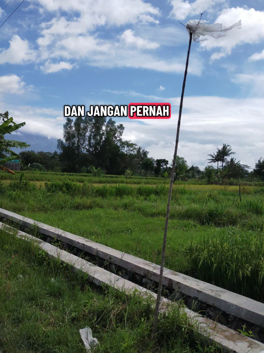 Dan dari ketulusan itulah semua tercipta... #motivation  #katabijak 