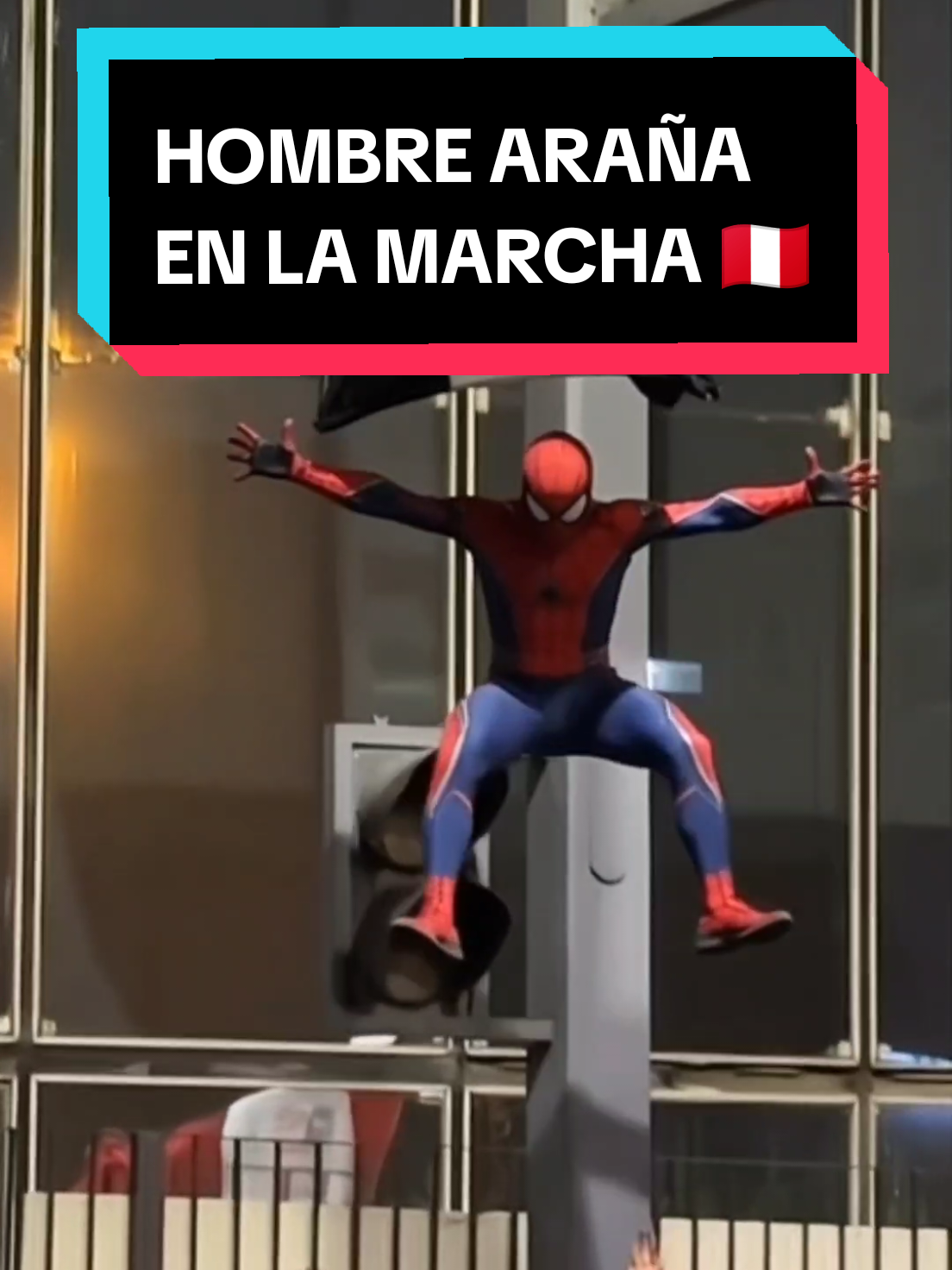 Se hizo presente! 🕷️🕸️🇵🇪