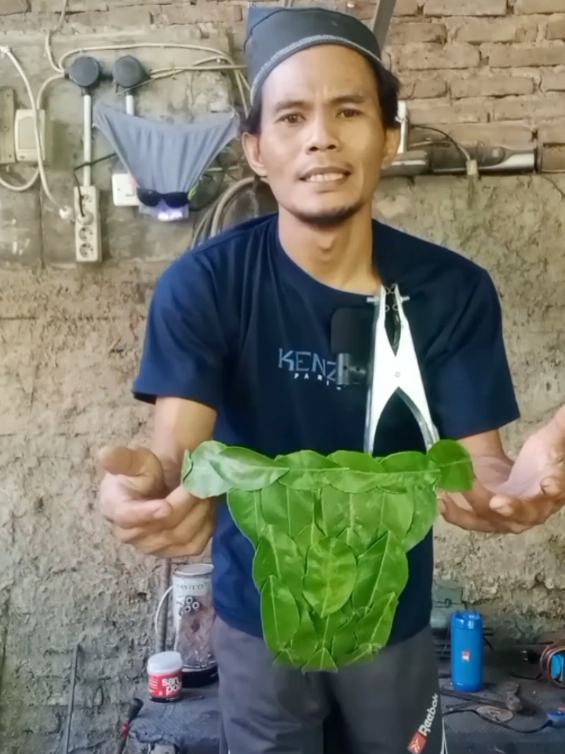 hiburan lucu, celana dalam limited edition bahan adem #komedi #videolucu #lucu #videoviral #hiburantiktok 
