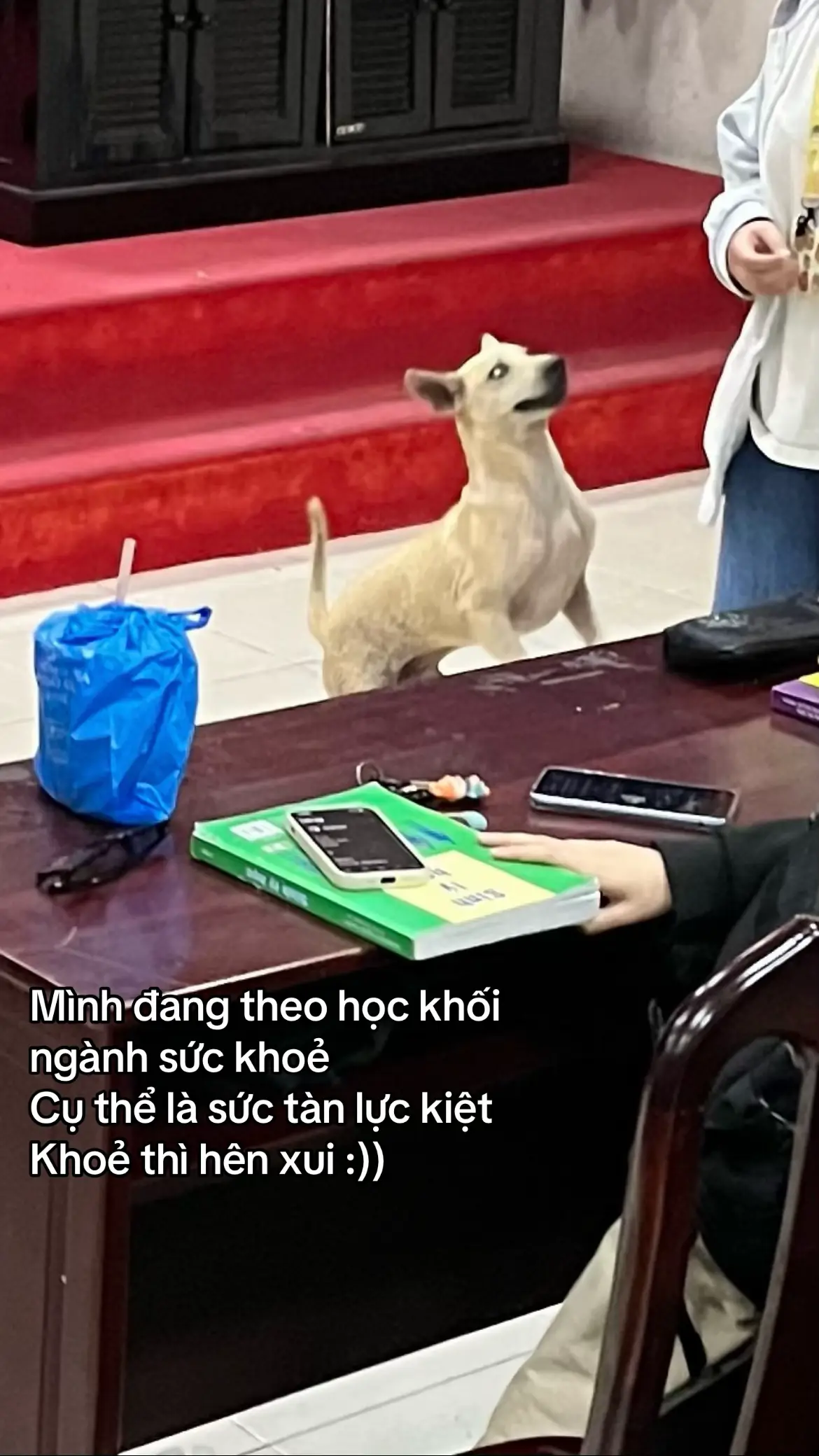 #hocycogivui👩🏻‍⚕️💙 #fyp 