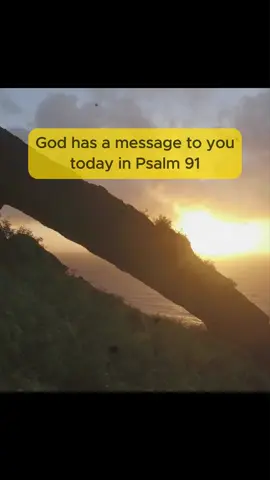 Psalm 91, Prayer of Protection. #prayer #pray #dailyprayer #bibleverse #psalm91 