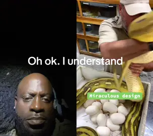 #duet with @Jay Prehistoric 