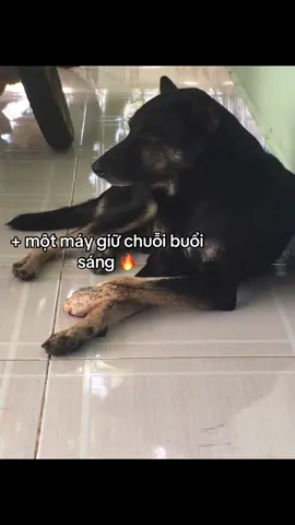 chuỗiiii #viral #chuỗi #fyp #xuhuong 