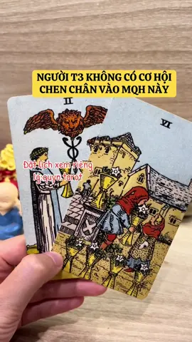 #quyntarot #tarotreader 