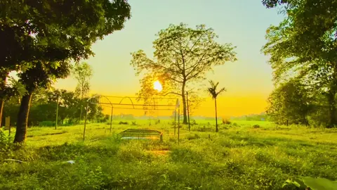 তুমি কি কবরে জাইবা না ভাই তুমি কি মরবা না #foryoupage #japan #vairal #typpppppppppp #unfreezemyacount #bangladesh 