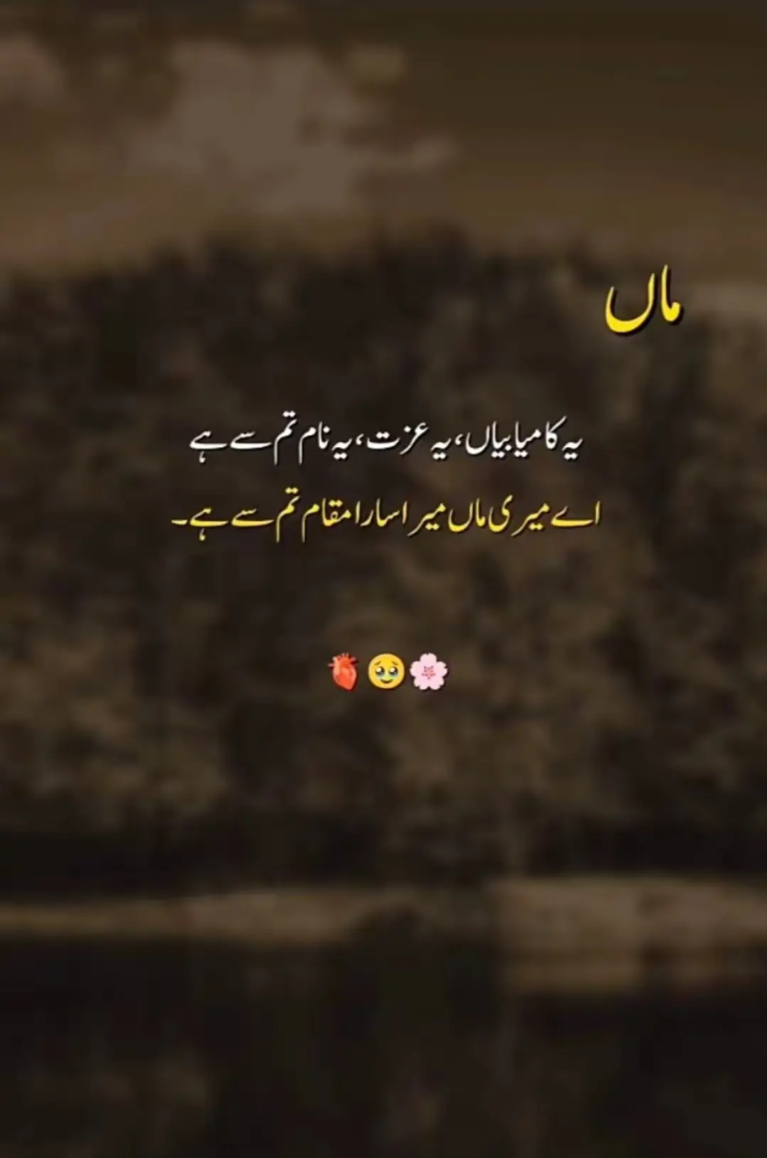 #fyp #outfit #Outfit Cowok Berwarna #haseeb_raajput #foryoupage 