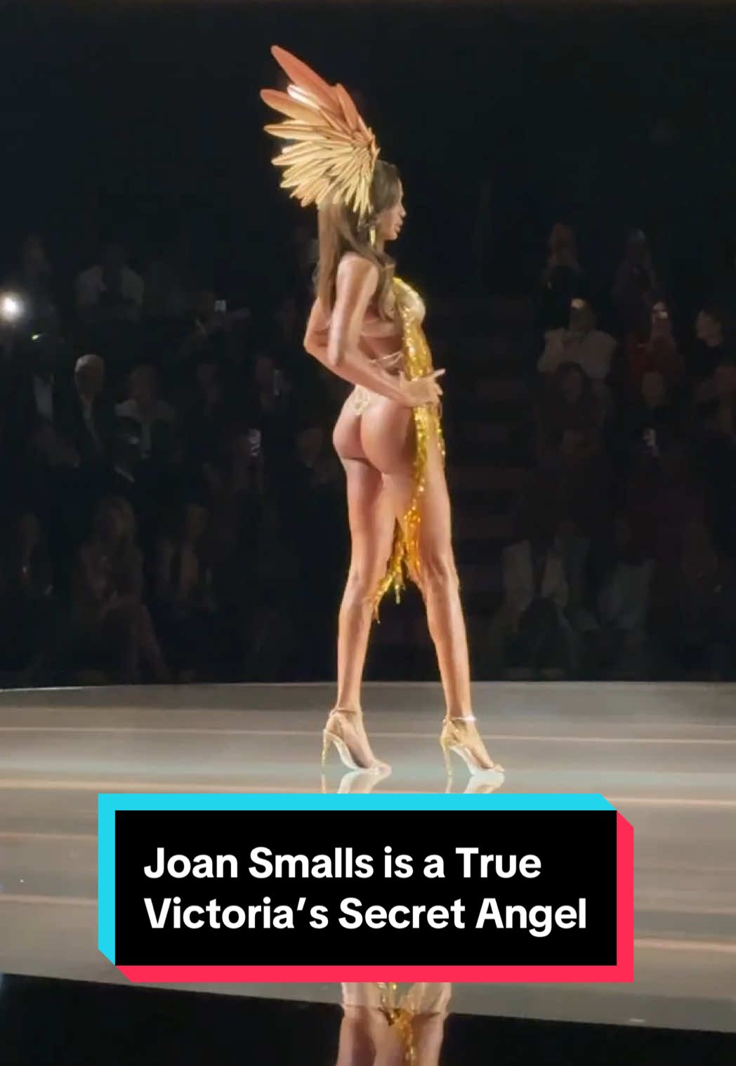 #joansmalls is a true #victoriassecretangel. ♥️🪽#victoriassecret #victoriassecretfashionshow #VSFS 