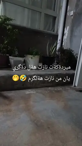 #حاجیاوا #رانیە #سليماني #چوارقورنه #هةولير 