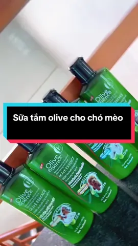 Sữa tắm olive cho chó mèo #xuhuongtiktok #xh #suatam #olive 