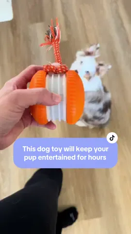 Interactive dog toys are a great way to stimulate your dog and tire them out  #interactivedogtoy #dogtoy #dogtoysoftiktok #highenergydog 