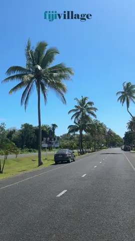 Damodar Group launches $20 million Arts Village Branch in Pacific Harbour  #fiji