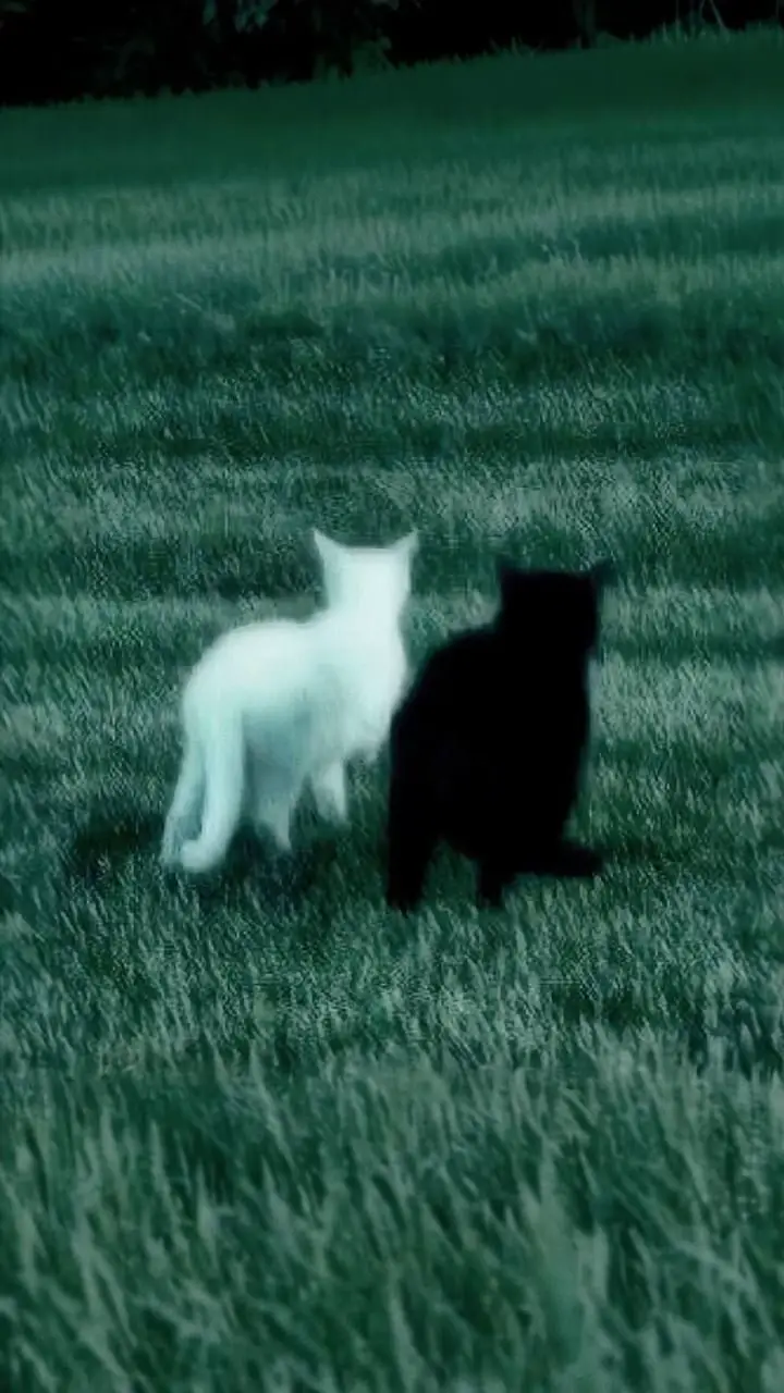 and even if you would abandon me, forget me completely and strip me from my happiness. i would still forgive you