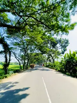 জীবনটা ছোট হলেও,গন্তব্য বহুদূর..!! 😅💝 #foryou #rakib_islam_raj #R15M #jashore #foryoupage #fypシ #grow #Tiktok #tiktokbangladesh #bdtiktokofficial #unfrezzmyaccount 