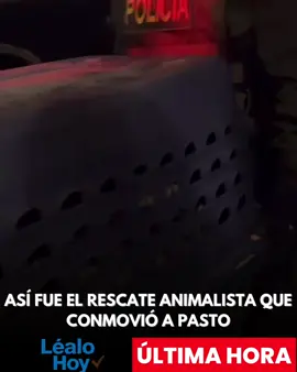 🎥💔 Así fue el rescate que conmovió a Pasto 🐶🐱 Entre lágrimas y aplausos, activistas animalistas lograron liberar a 7 perros y gatos, pues, según denuncias, el 