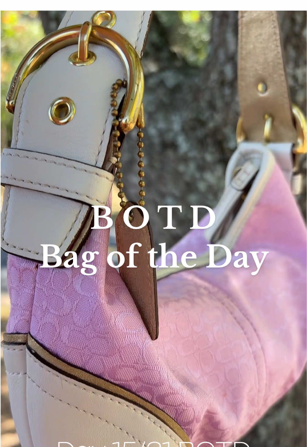 Day 15 of BAGTOBER…can not believe we are half way through October #botd #bagtober #coachbag #thriftedcoach 