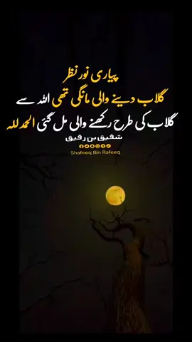 #plzunfrezemyaccount #viral #sbr_writes #شفیق_بن_رفیق #viralvideo 