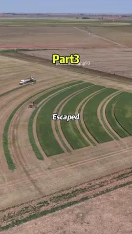 #reddit #redditstories #redditreadings 