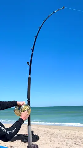 Setting The HOOK #thefishermeng #fishing #sharkfishing #shark #beachlife 