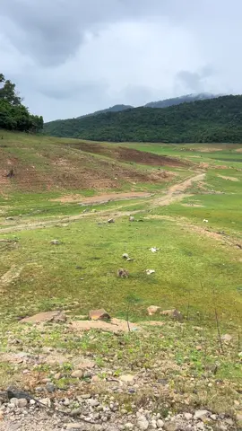 Nhìn cảnh đẹp là Chuẩn bị báo cá nha ae #dammecauca #caucatunhien 