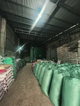 Hết Sầu riêng mình chuyển qua Cà Phê , cà phê 225k / 2 kí 🤣🤣🤣