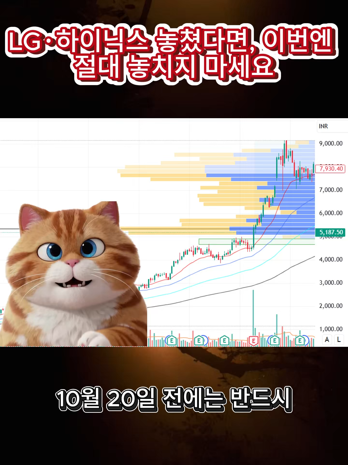 LG·하이닉스 놓쳤다면, 이번엔 절대 놓치지 마세요！#주식 #한국주식 #주식정보 #한국어 #내일의종목 #재무지식