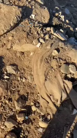 المكافحه بعيوننا #fyp 