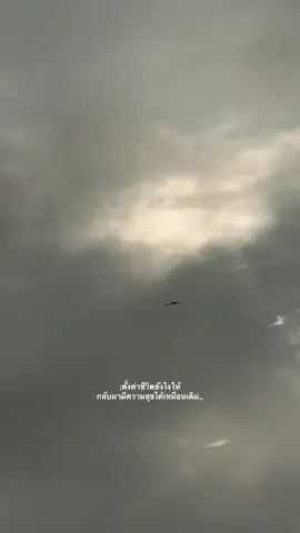 #เธรด #เธรดคําพูด #เธรดความรู้สึก 🚷