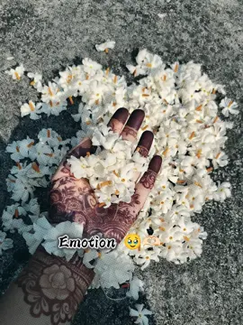 Ful gulo onek beshi sundor tai na 🥹🫶🏻#fypシ゚ #trending #tiktok #foryou #foryoupage 