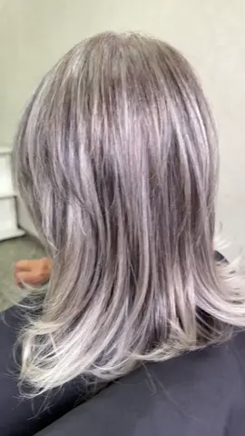 Canas 