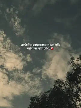 যে জিনিস ভাগ্যে থাকে না তার প্রতি আমাদের মায়া বেশি.!❤️‍🩹