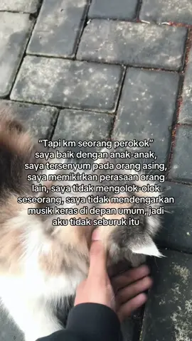 😞#foryou #cat #stecu 