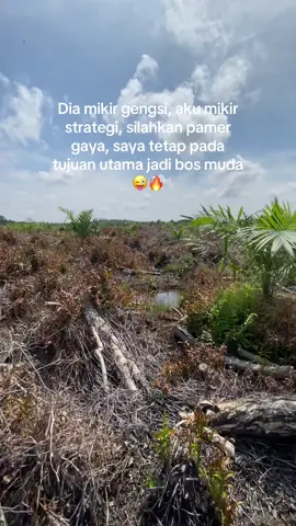 #sawit #sawitontiktok #petani #petanimuda #petaniindonesia🇮🇩🇮🇩🇮🇩🌿🌿 