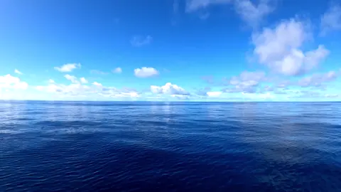 Pháp Bảo Đàn Kinh Lục Tổ Huệ Năng #luctohuenang #kinhphapbaodan #phatphapnhiemmau #thientong #tuengocvan 