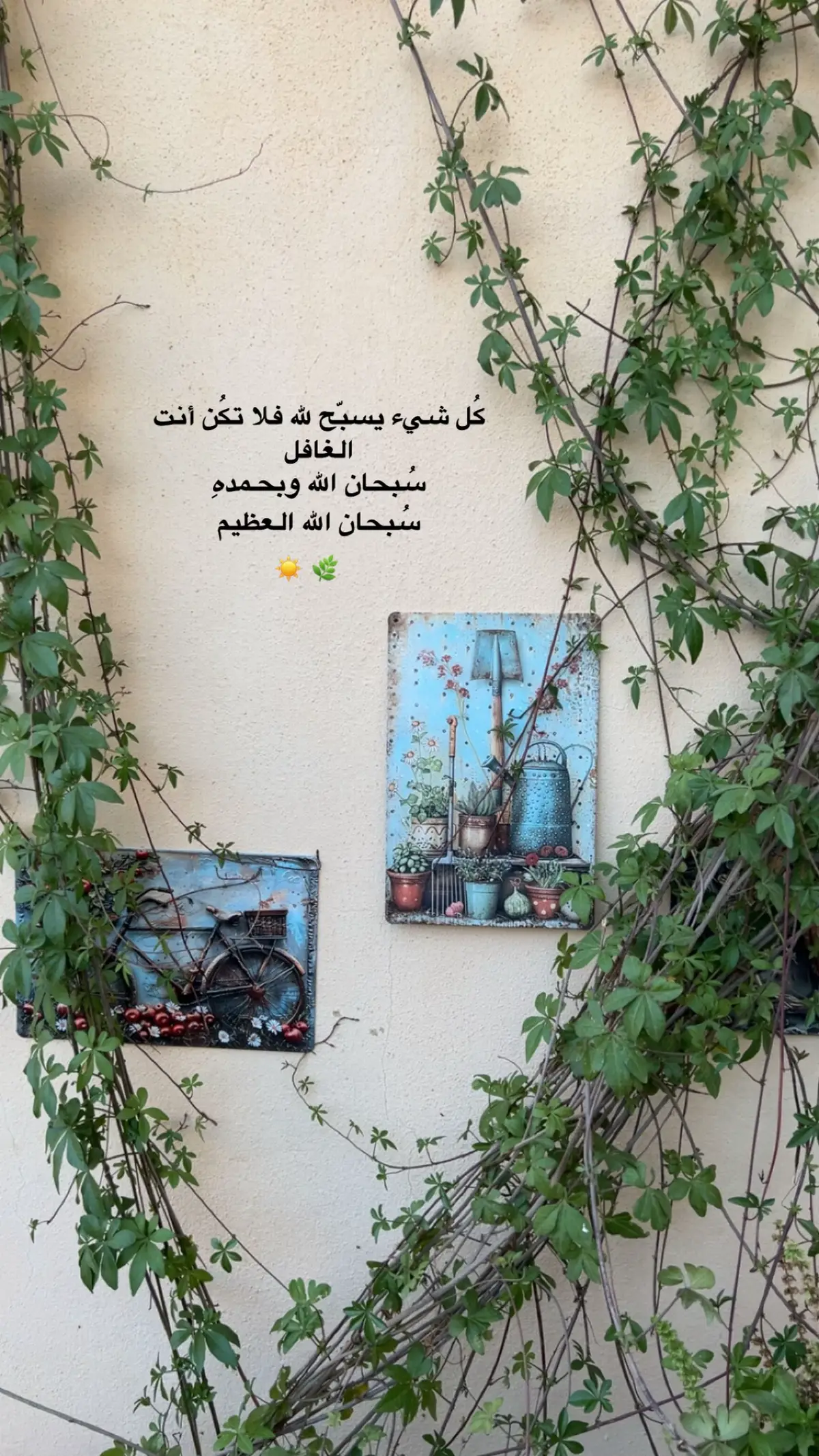 #fypシ゚ #تصويري📸 #عـ👩🏻‍🌾 
