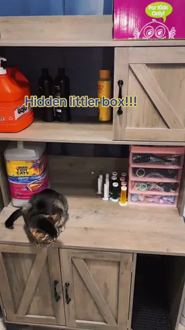 Also on a flash sale grab it now! #fyp #hiddenlitterbox #bathroomfinds 