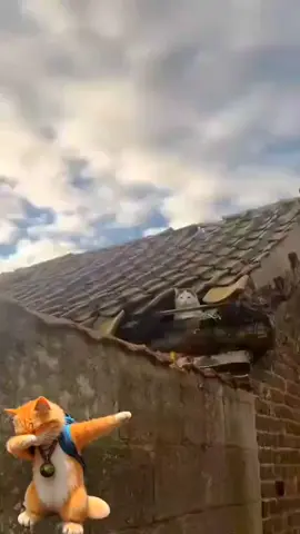 #4u #meme #catsoftiktok #lawaksabahan 🗿:FYP ka lawak c Welson😂tekan bag kuning😜