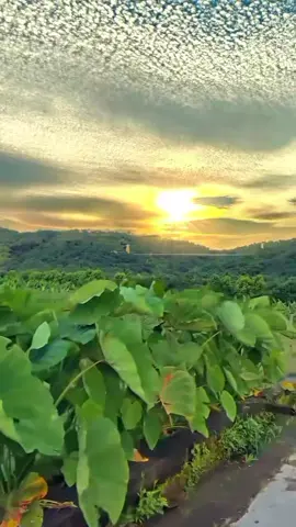 انبياء الله عليهم الصلاة والسلام#اسلاميات99 