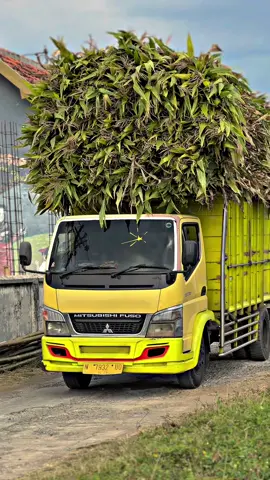 #jagungbalap🌽 #viral 