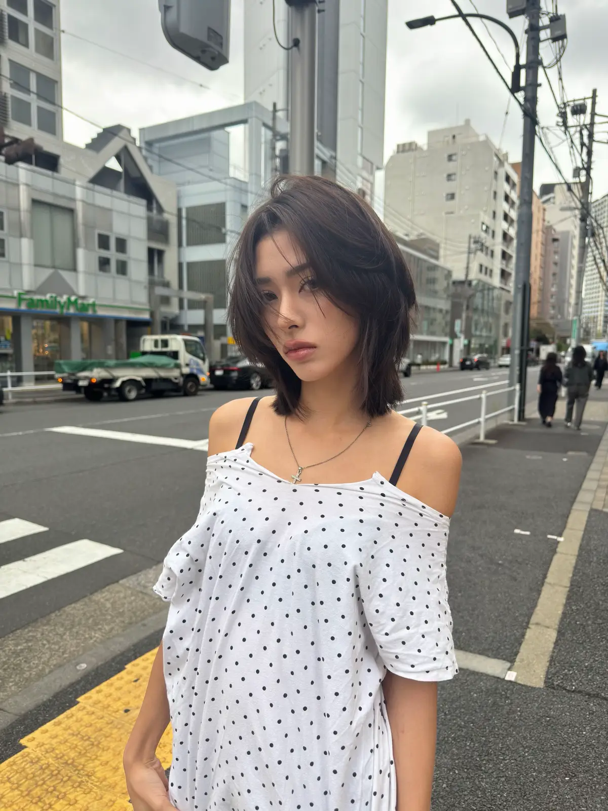 Tokyo tour in October. #shorthair #nana 