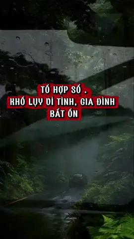 Tổ hợp số khổ lụy vì tình. Gia đình bất ổn. #phongthuy #phongthuytamlinh #ts #parati #tam 