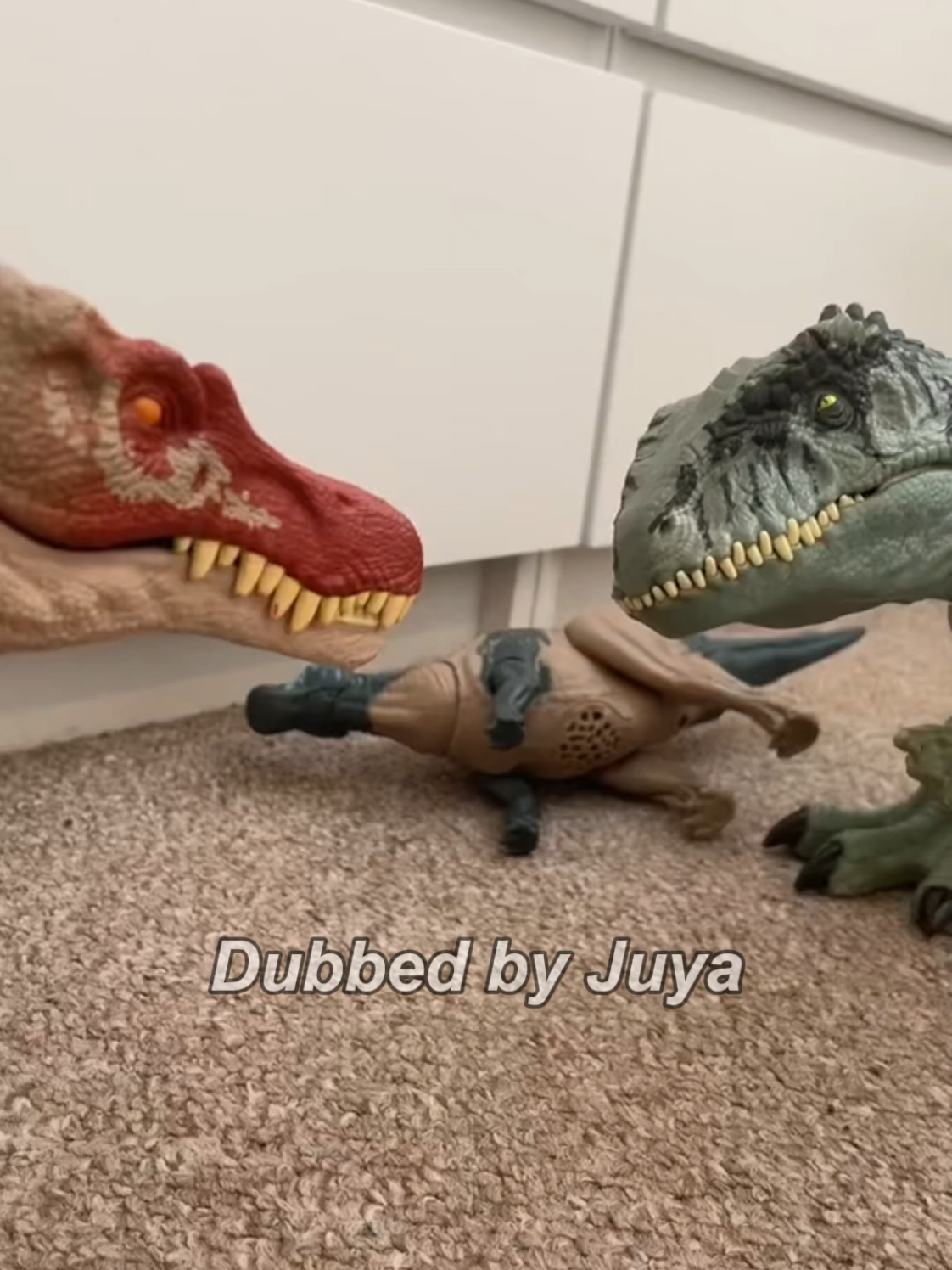 Kecewa sitik 😹 #memesdaily #meme #memespage #fypage #dubbing 