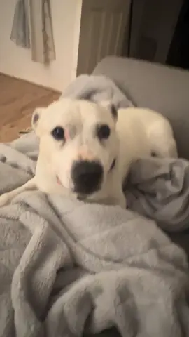 ละครของเรา..