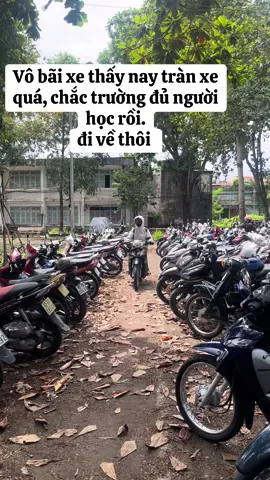 cảm ơn trường đã tạp điều kiện #fypシ #iumthu #haihuoctiktok #sinhvien 