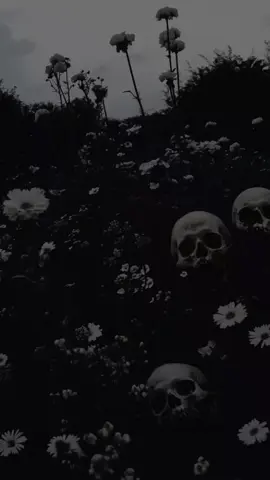 #videos #Viral #canciones #pyfツ #magodeoz 